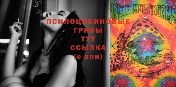 тгк Лиски