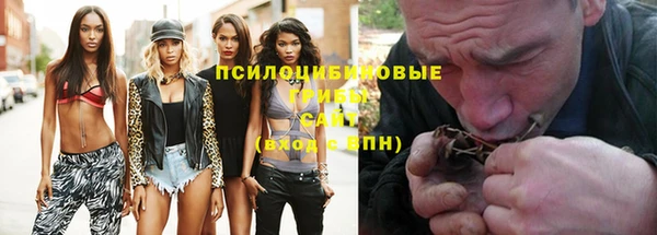 тгк Лиски