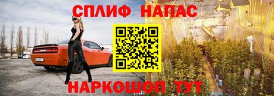 прущие крисы Железногорск