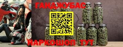 амф Ефремов