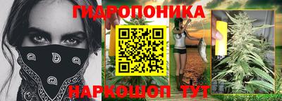 ALPHA PVP Кимры