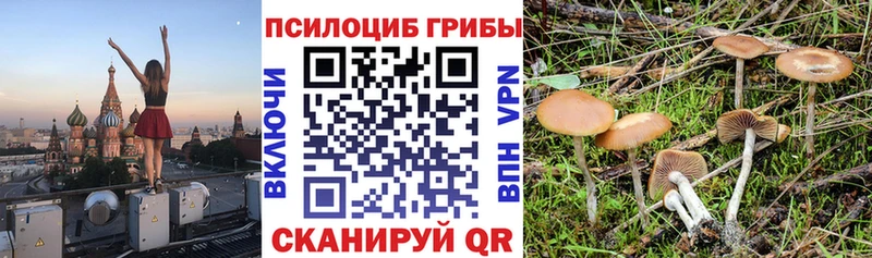 где купить Киров Псилоцибиновые грибы Cubensis