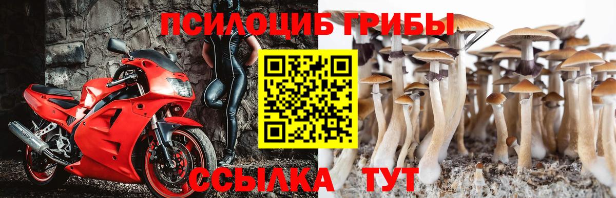 Галлюциногенные грибы мухоморы Киров